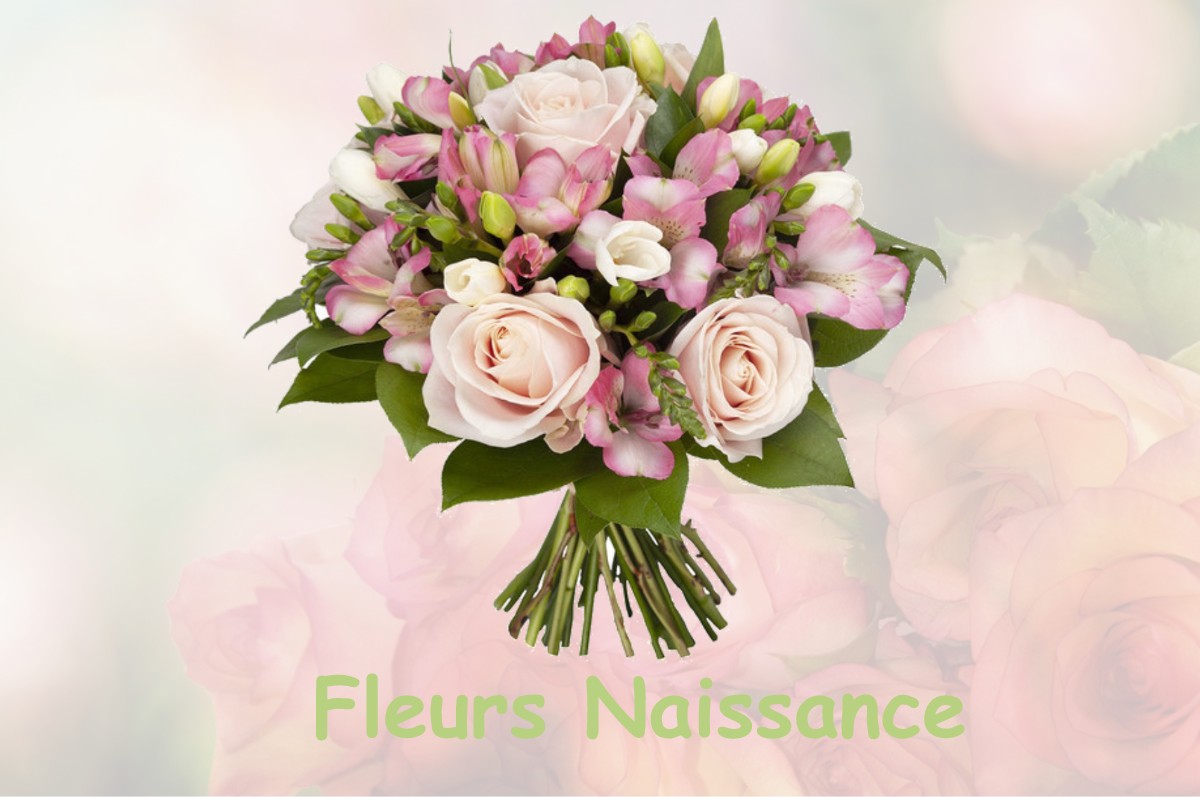 fleurs naissance CHAVANNES-SUR-REYSSOUZE